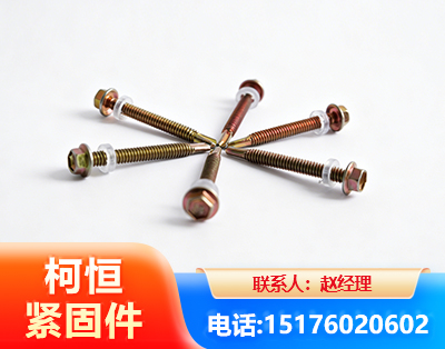 忻州六角钻尾丝